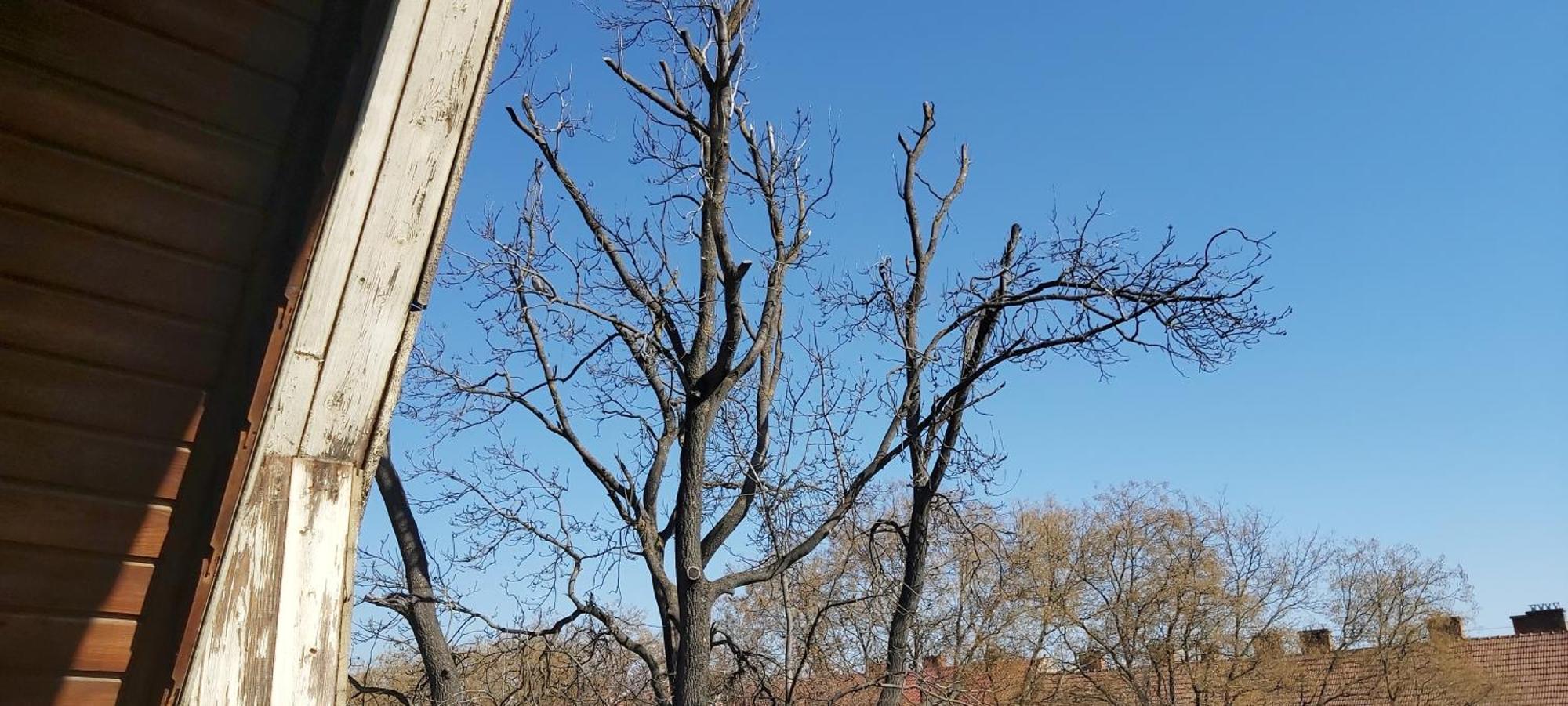 מלון קצ'קמט Park Vendeghaz מראה חיצוני תמונה