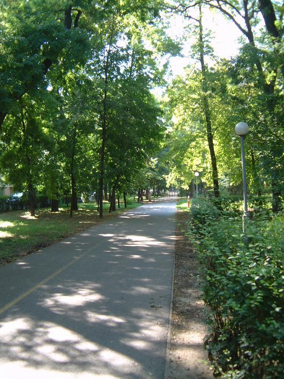 מלון קצ'קמט Park Vendeghaz מראה חיצוני תמונה